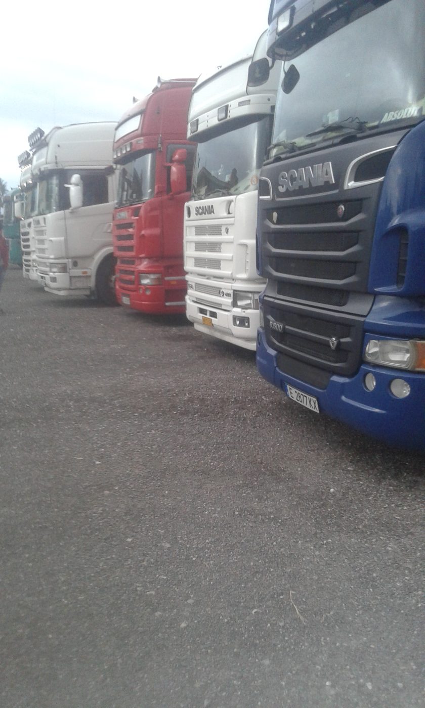 DZN TRANS